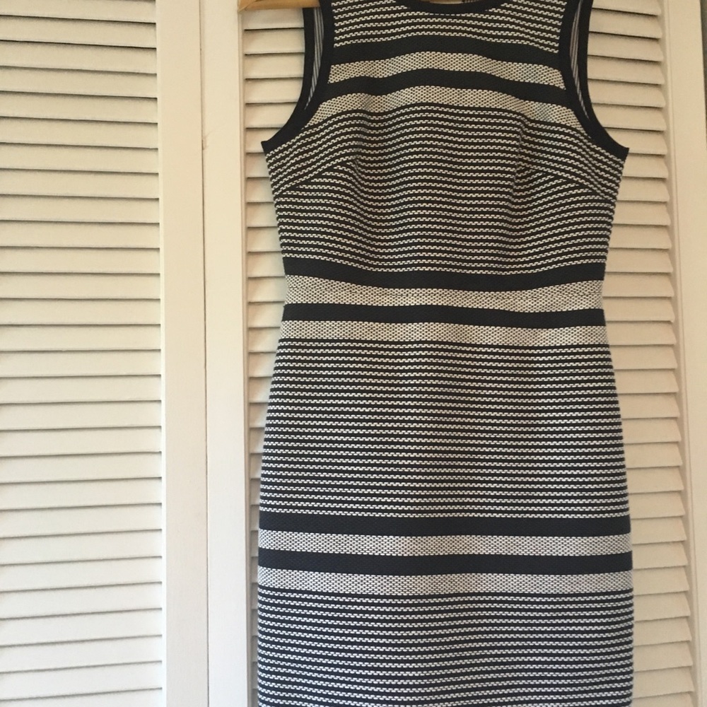 J Crew dress